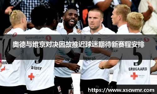 奥德与维京对决因故推迟球迷期待新赛程安排