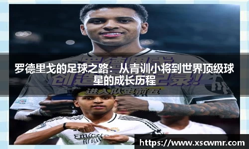 米兰体育官网