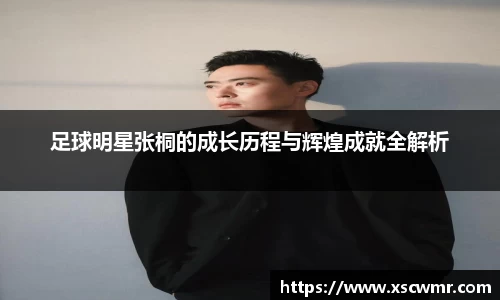 米兰体育官网